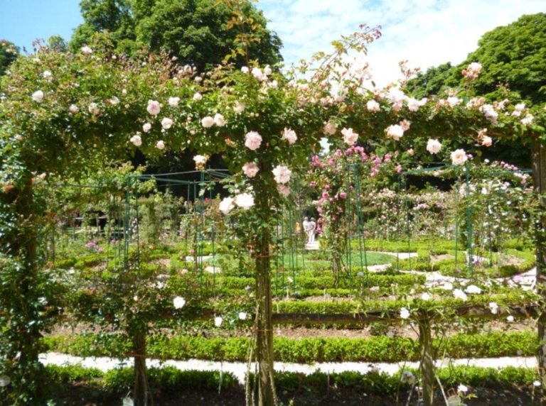 TRAVELS WITH YOUR NAVIGO – THE CHÂTEAU DE MALMAISON – Paris Plus Plus