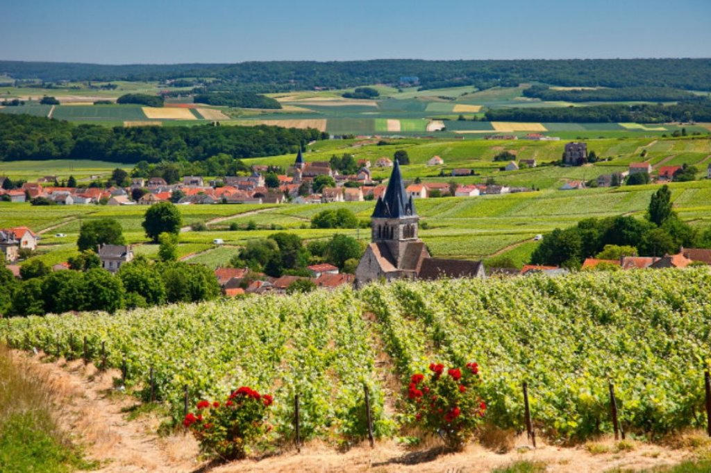 SOME LESSER-KNOWN GEMS OF THE CHAMPAGNE DISTRICT – Paris Plus Plus